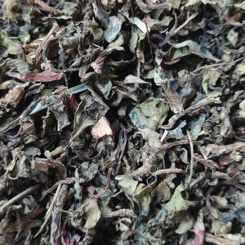 马齿苋无杂草无泥沙无老根，产地直发，欢迎有实力客户实地考