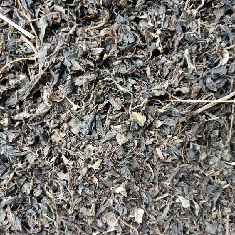 马齿苋无杂草无泥沙无老根，产地直发，欢迎有实力客户实地考