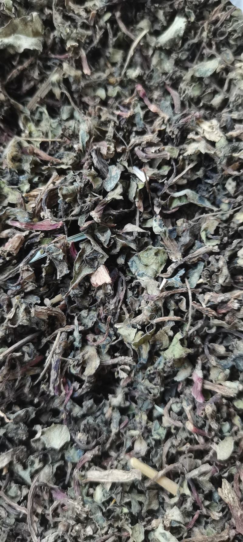 马齿苋无杂草无泥沙无老根，产地直发，欢迎有实力客户实地考