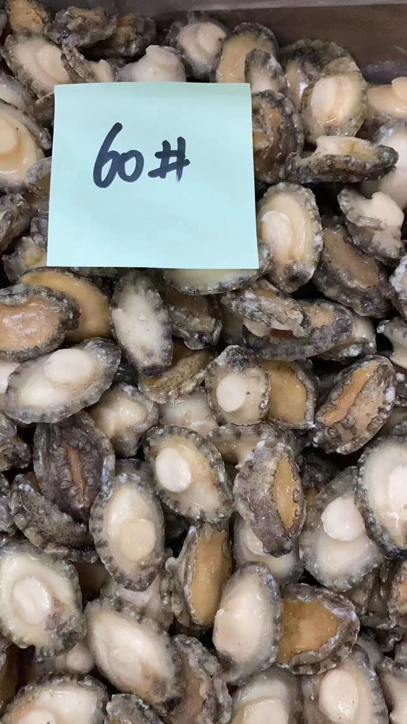 鲍鱼肉，鲍鱼，九孔鲍规格多工厂一手货源批发欢迎咨询合作！