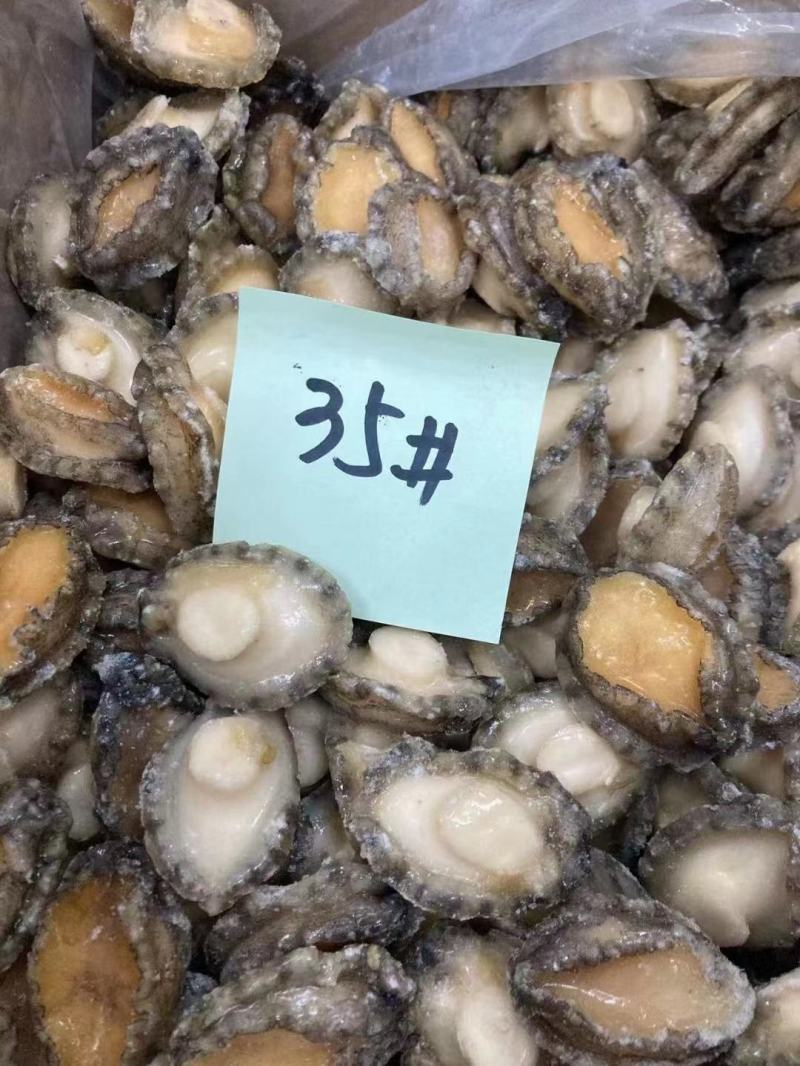 鲍鱼肉，鲍鱼，九孔鲍规格多工厂一手货源批发欢迎咨询合作！