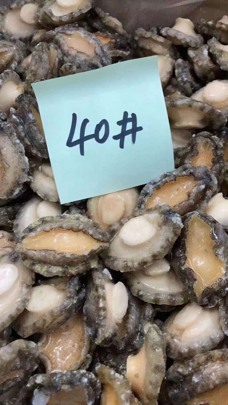 鲍鱼肉，鲍鱼，九孔鲍规格多工厂一手货源批发欢迎咨询合作！