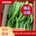 【推荐】山东产区尖椒上市鲜辣椒货源充足量大从优物美价廉