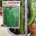 洛椒绿霸丰产性抗性优春秋保护地及露地均可栽牛角椒种子