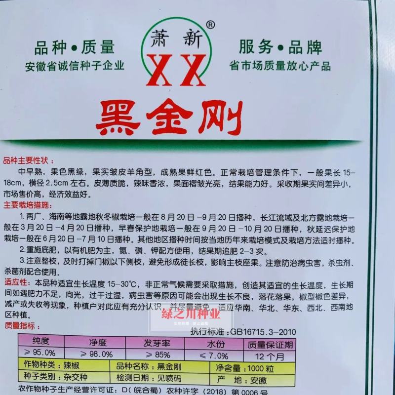 萧新黑金刚皱皮椒种子果色黑绿皱皮羊角型皱皱辣种子皮薄，辣