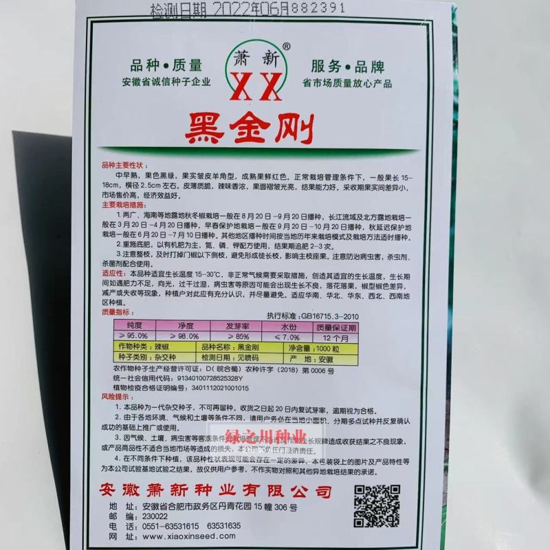 萧新黑金刚皱皮椒种子果色黑绿皱皮羊角型皱皱辣种子皮薄，辣