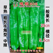 萧新泡椒608粗长牛角型辣椒种子早熟辣味中等亮绿色大椒