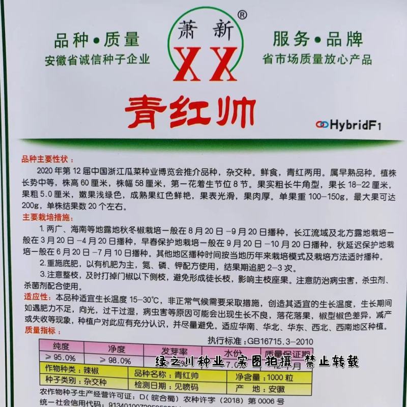 萧新青红帅辣椒种子鲜食红泡椒种子牛角形辣椒大果光椒