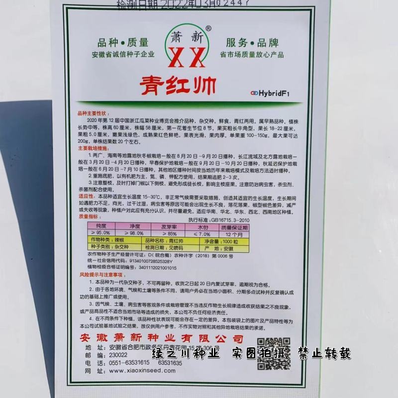 萧新青红帅辣椒种子鲜食红泡椒种子牛角形辣椒大果光椒