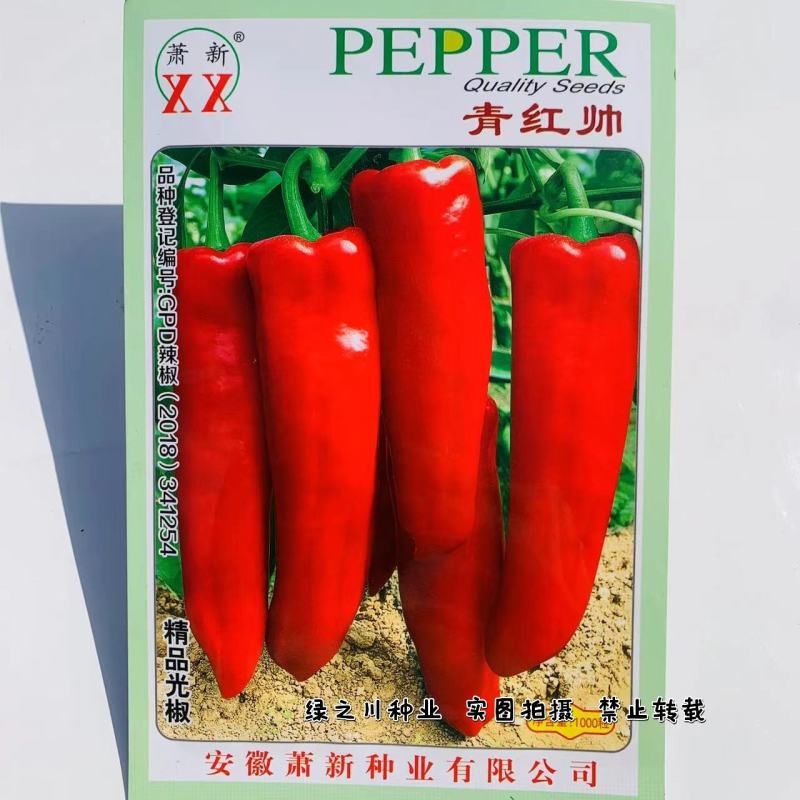 萧新青红帅辣椒种子鲜食红泡椒种子牛角形辣椒大果光椒