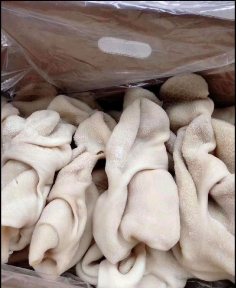 羊副产品羊肚，羊肚，羊肚，羊肚，羊肚，羊肚羊肚羊肚，