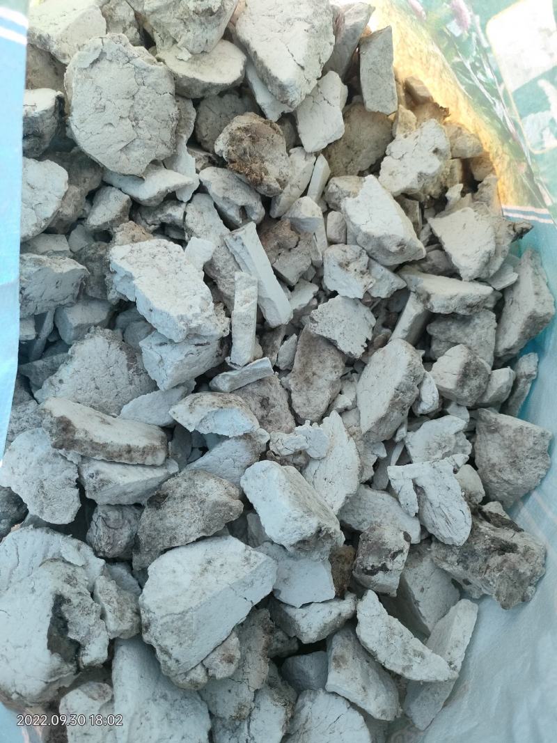 茯苓，无硫，干货，品种齐，.欢迎电谈。