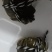 【推荐】洪湖大闸蟹鲜活大螃蟹特大母蟹超大全母现货公蟹