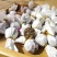 岩子头，龙珠生，熟茶，卖一件是28元x200包。