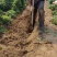 【推荐】河南焦作铁棍山药产地直供适合商超批发市场和电商团购