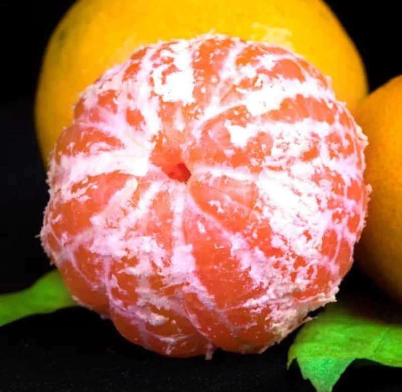 资阳蜜桔