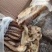 鱿鱼须鱿鱼鱿鱼头二本足6板装工厂直发