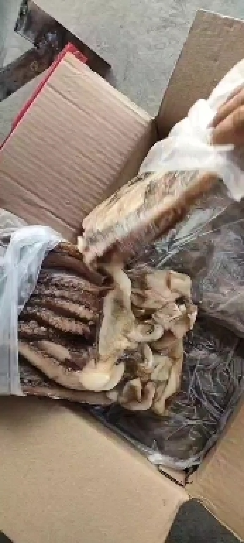 鱿鱼须鱿鱼鱿鱼头二本足6板装工厂直发