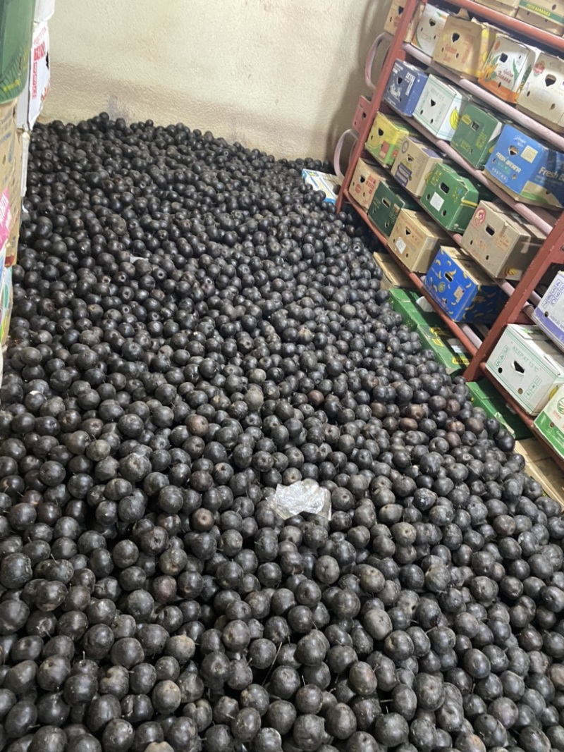东北辽宁特产优质东北苹果梨大冻一手货源产地直发