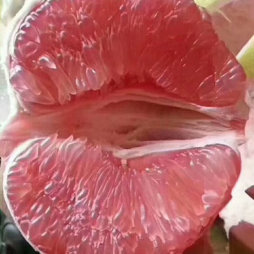 柚子