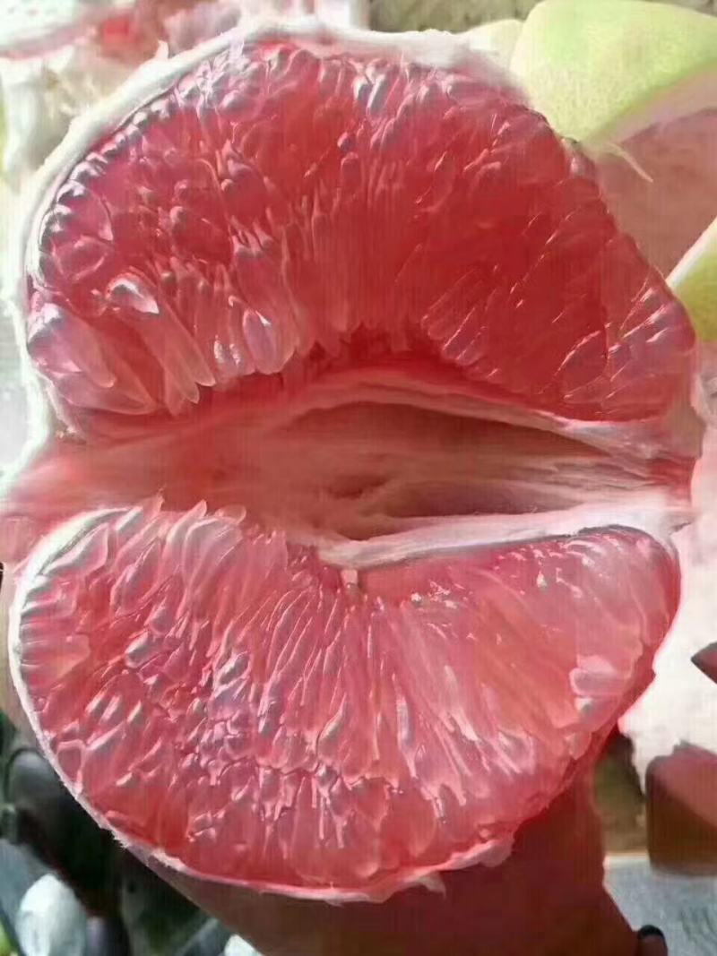 柚子