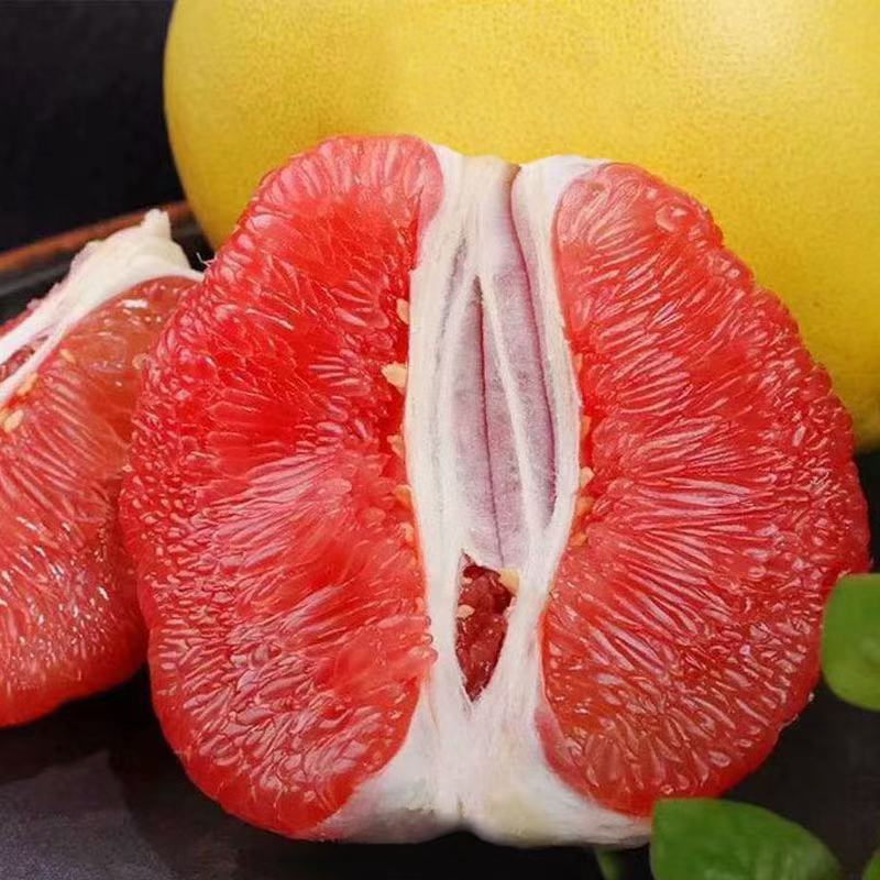 柚子