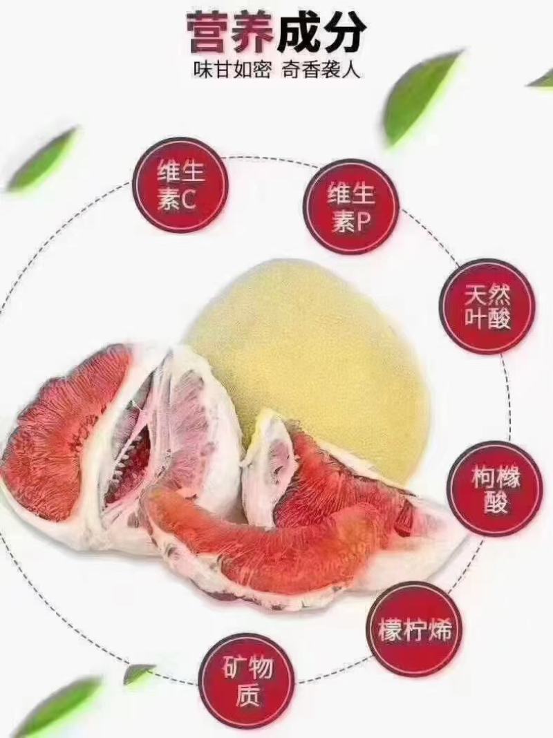 柚子