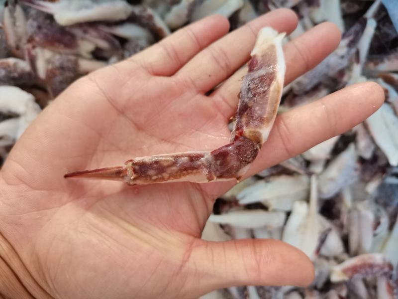梭子蟹脚，大个无冰货货源充足，捞汁食材，欢迎老板下单