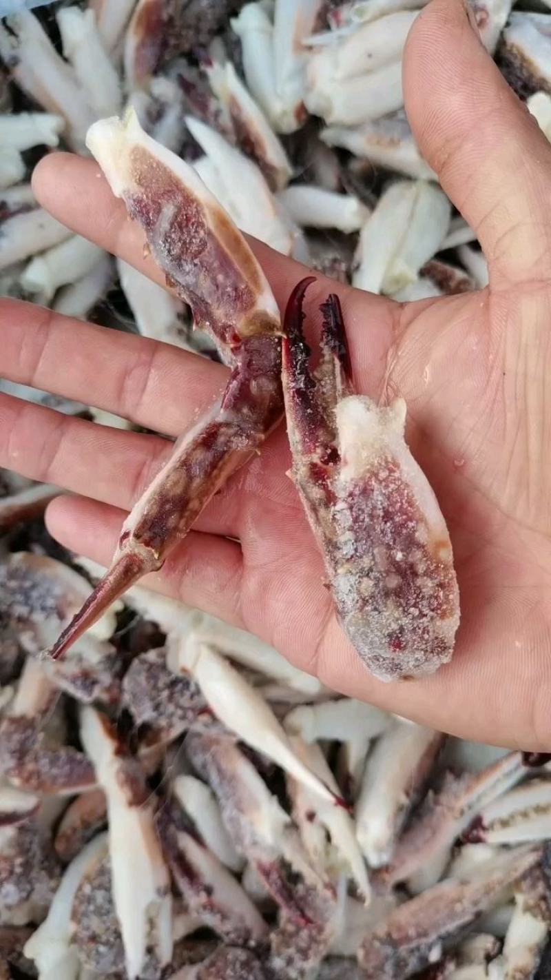 梭子蟹脚，大个无冰货货源充足，捞汁食材，欢迎老板下单