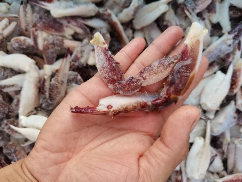 梭子蟹脚，大个无冰货货源充足，捞汁食材，欢迎老板下单