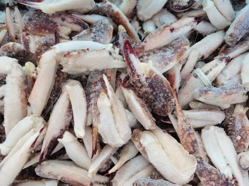 梭子蟹脚，大个无冰货货源充足，捞汁食材，欢迎老板下单