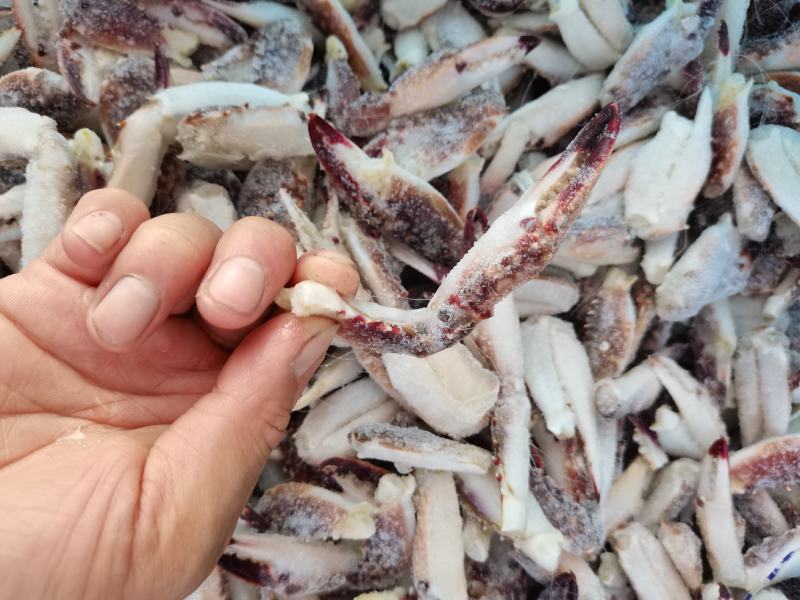 梭子蟹脚，大个无冰货货源充足，捞汁食材，欢迎老板下单