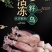 全籽海兔，一盒，26只左右，大个头，捞汁专用欢迎老板下单