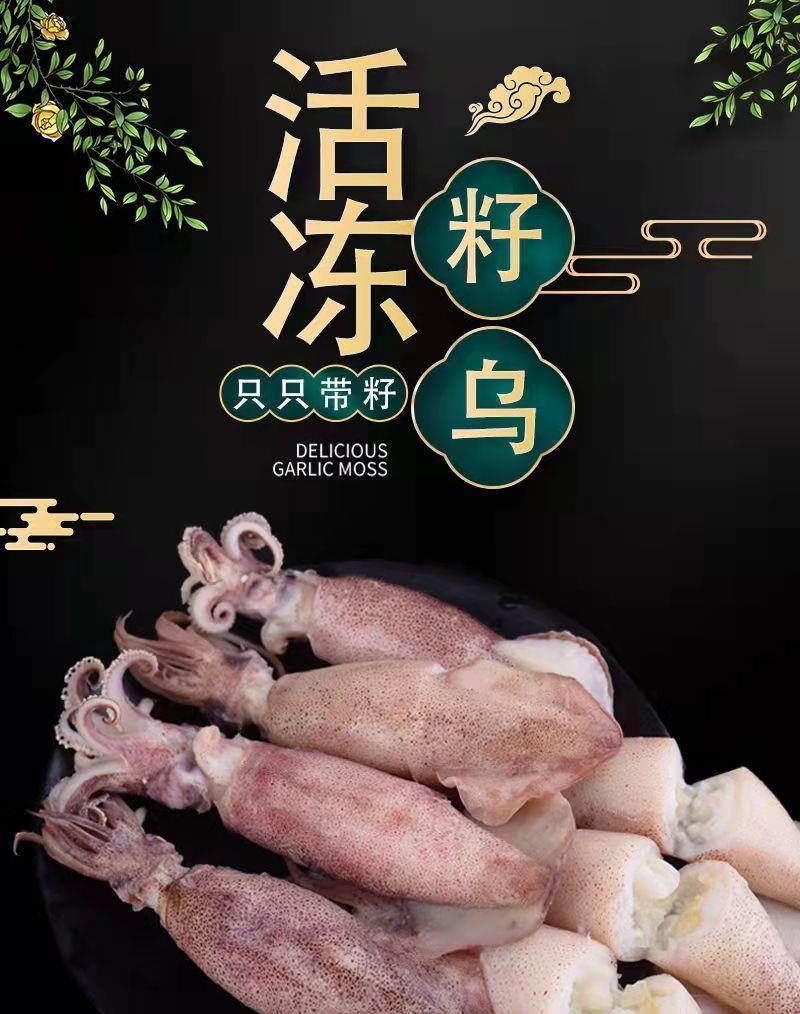 全籽海兔，一盒，26只左右，大个头，捞汁专用欢迎老板下单