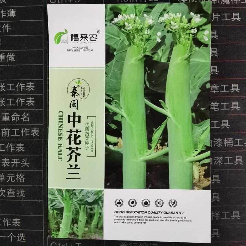 脆肉芥兰种子白花粗杆吃杆农家庭院盆栽大肉粗杆芥蓝蔬菜