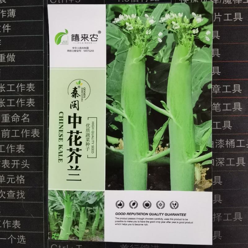 脆肉芥兰种子白花粗杆吃杆农家庭院盆栽大肉粗杆芥蓝蔬菜