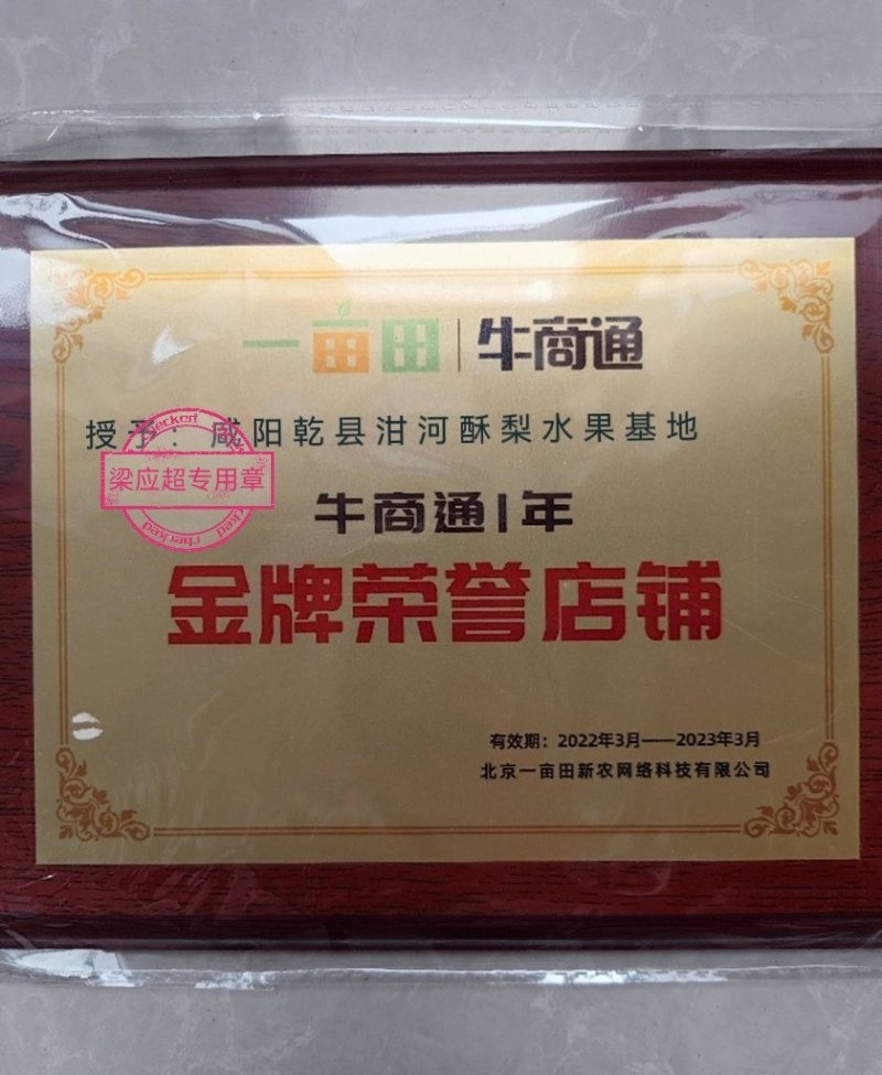 【实力商家】乾县长把梨大量上市，量地量大，欢迎大采购