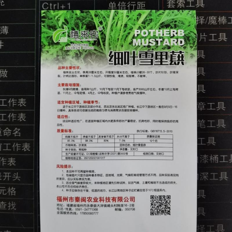 细叶雪里蕻种子雪里红种子40克实惠装农家庭院农户大田种植