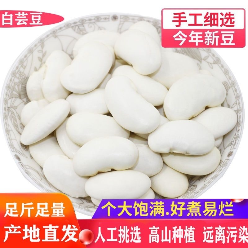 云南源产地高山白芸豆，芸豆，九粒白芸豆产地，