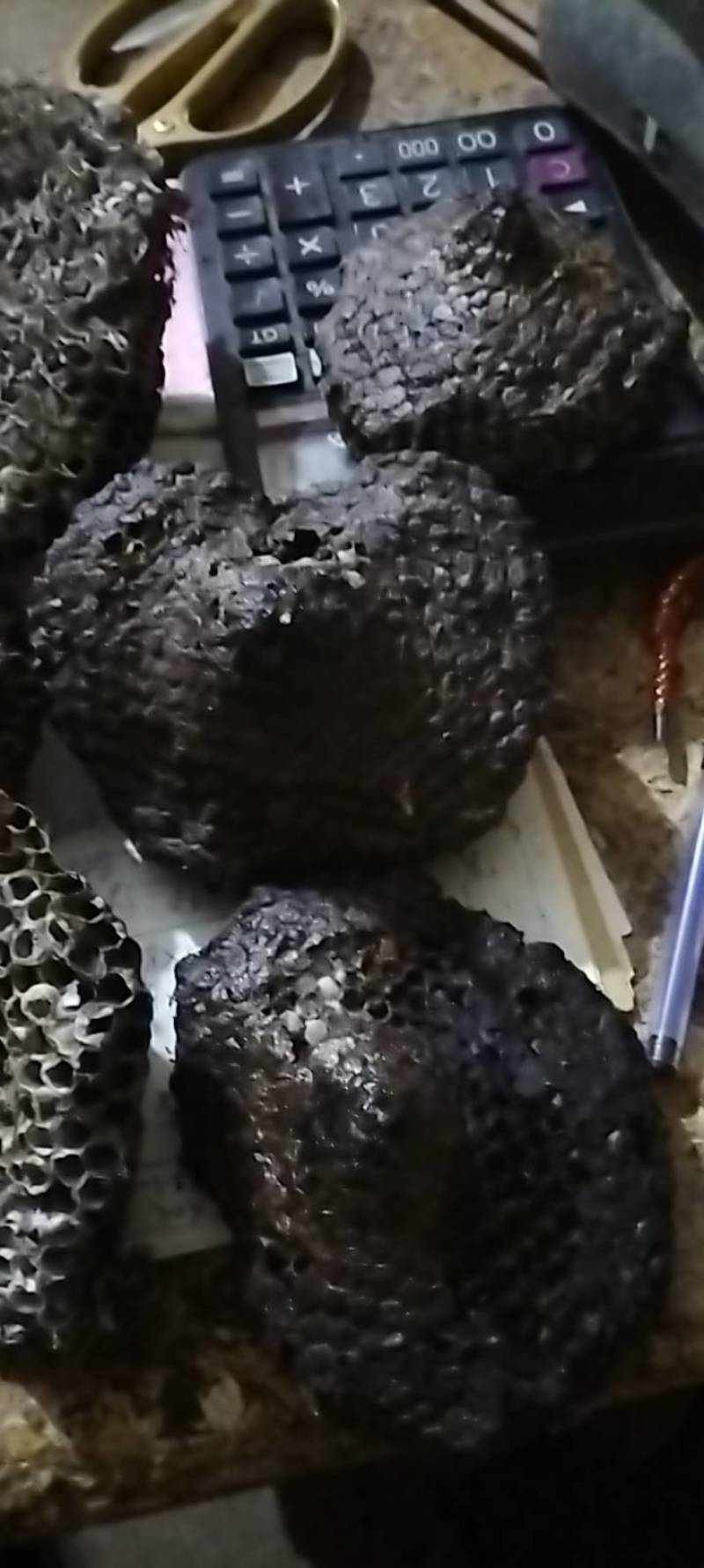 马蜂窝，马蜂房，马蜂巢，蜂房，蜂窝，蜂巢，马蜂窝，蜂巢