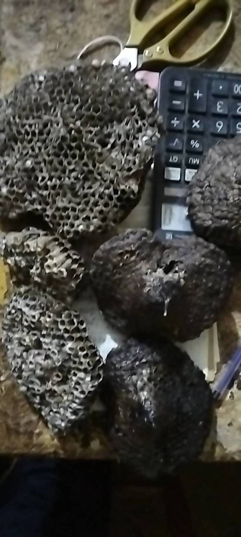 马蜂窝，马蜂房，马蜂巢，蜂房，蜂窝，蜂巢，马蜂窝，蜂巢