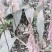 毛慈菇苗1公分以下四川毛慈菇苗，毛茨菇苗，毛慈菇苗子批发