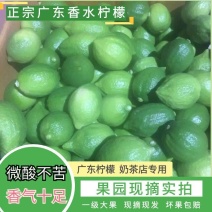 广东香水柠檬无籽新鲜一级果奶茶店专用水果青柠檬20斤