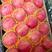 山东膜袋红富士苹果产地一手货源充足价格美丽75以上1.2