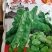 蚕豆种子特大高产大粒罗汉豆种籽春秋冬季播种早熟耐寒本地胡