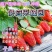 【实力】草莓苗红颜草莓苗脱毒种苗大果纯甜提供技术