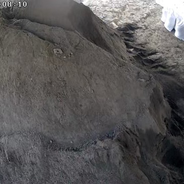 发酵鸡粪/生物有机肥/厂家直发/大量有货