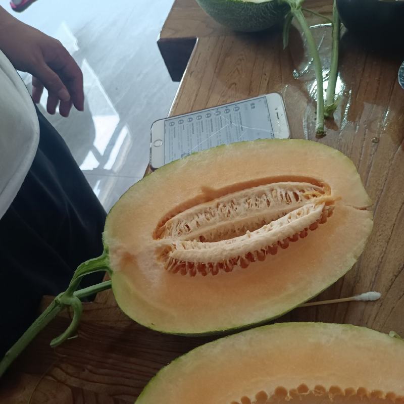 西州蜜