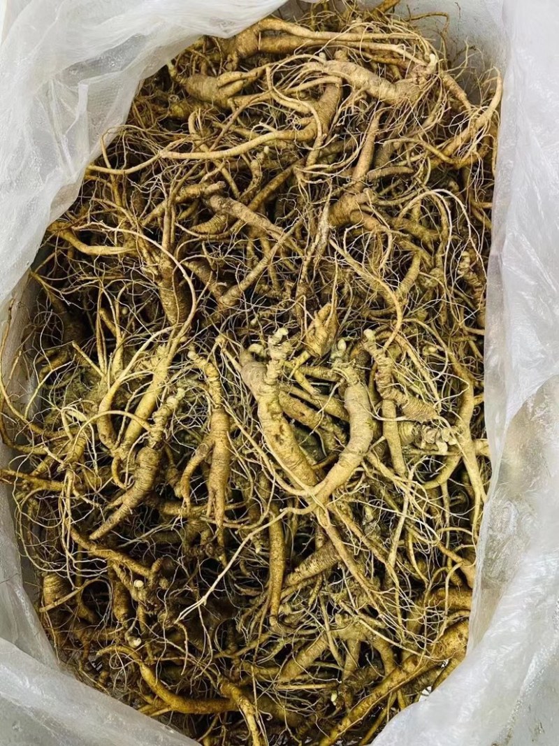 鲜林下参籽货（产于长白山深山密林）自产自销，顺丰包邮