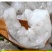 国大虾仁3斤现剥新鲜青虾仁冷冻白虾仁大号虾仁海鲜批